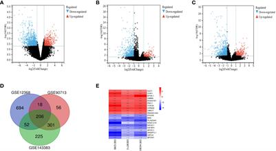 Identification of key genes and pathways in adrenocortical carcinoma: evidence from bioinformatic analysis